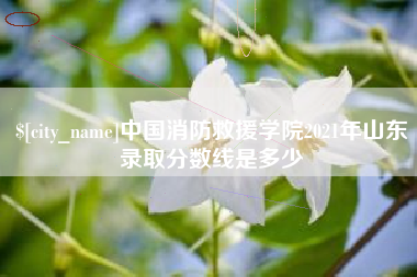 无锡中国消防救援学院2021年山东录取分数线是多少