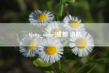 无锡成都 消防
