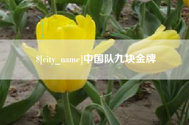 无锡中国队九块金牌