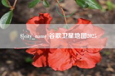 无锡谷歌卫星地图2025