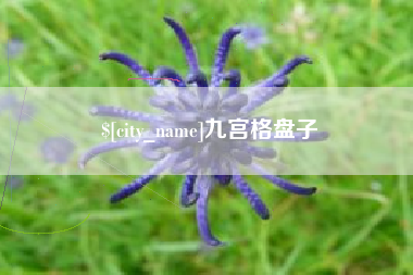无锡九宫格盘子