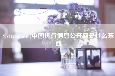 无锡中国执行信息公开网是什么东西