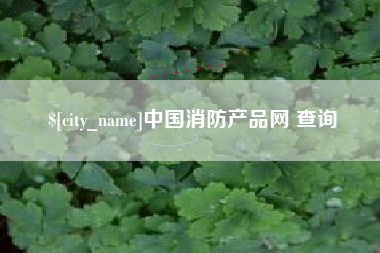 无锡中国消防产品网 查询