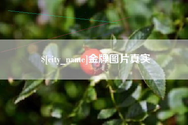 无锡金牌图片真实