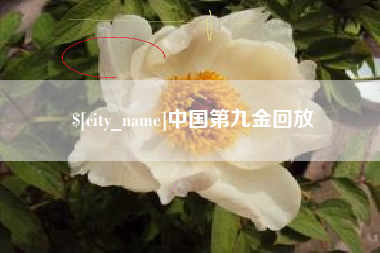 无锡中国第九金回放