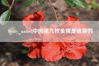 无锡中国第九枚金牌是谁得的