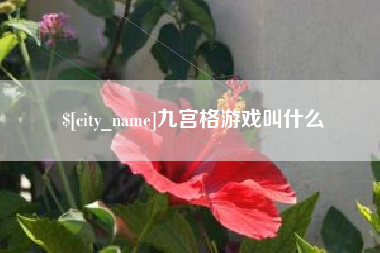 无锡九宫格游戏叫什么