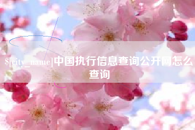 无锡中国执行信息查询公开网怎么查询