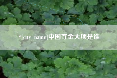 无锡中国夺金大项是谁