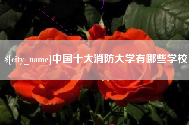 无锡中国十大消防大学有哪些学校