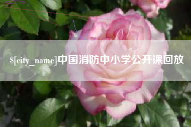 无锡中国消防中小学公开课回放