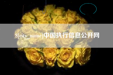 无锡中国执行信息公开网