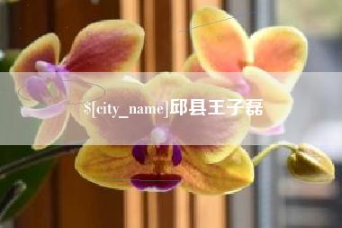 无锡邱县王子磊