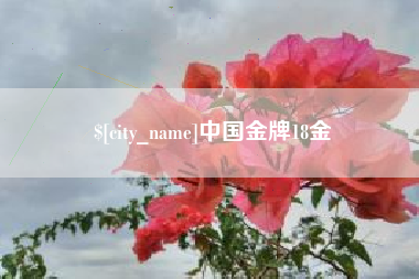 无锡中国金牌18金