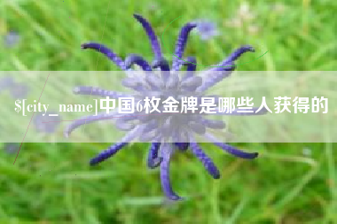 无锡中国6枚金牌是哪些人获得的