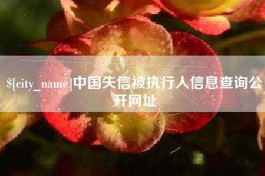 无锡中国失信被执行人信息查询公开网址