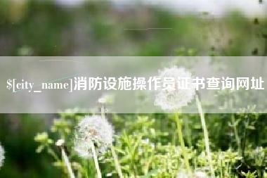 无锡消防设施操作员证书查询网址