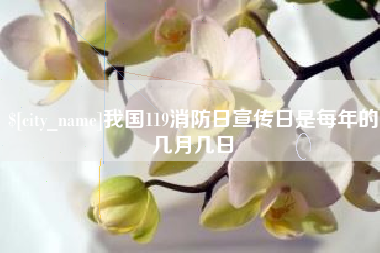 无锡我国119消防日宣传日是每年的几月几日