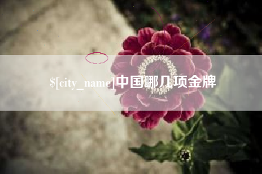 无锡中国哪几项金牌