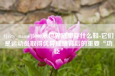 无锡5000米世界冠军穿什么鞋-它们是运动员取得优异成绩背后的重要“功臣”