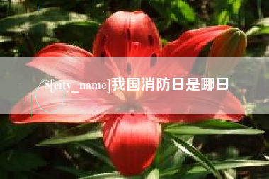 无锡我国消防日是哪日