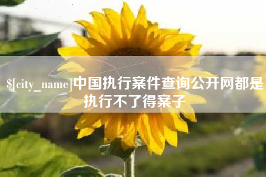 无锡中国执行案件查询公开网都是执行不了得案子