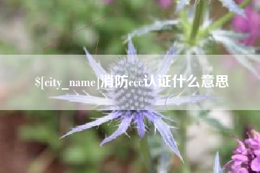 无锡消防ccc认证什么意思