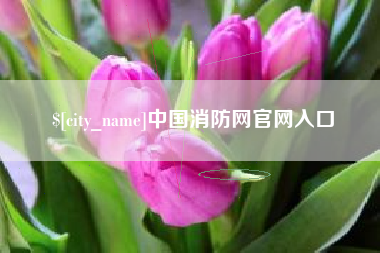 无锡中国消防网官网入口