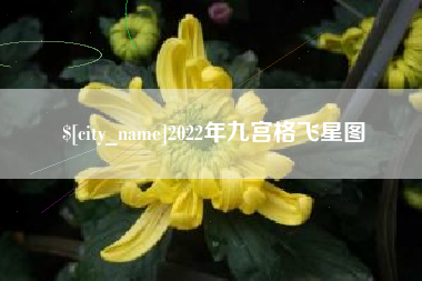 无锡2022年九宫格飞星图