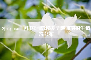 无锡中国消防救援学院湖南招生情况公布