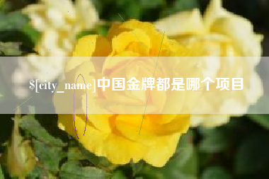 无锡中国金牌都是哪个项目