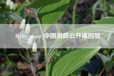 无锡中国消防公开课回放