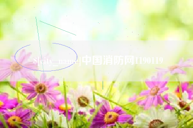 无锡中国消防网1190119