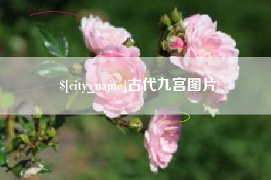 无锡古代九宫图片