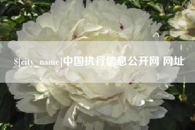 无锡中国执行信息公开网 网址
