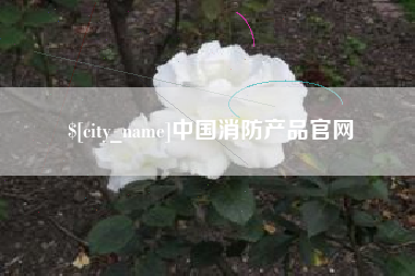 无锡中国消防产品官网