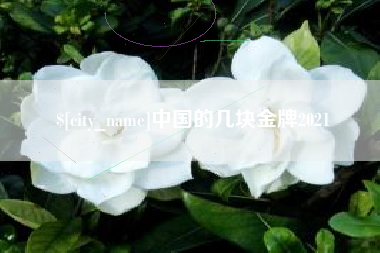 无锡中国的几块金牌2021