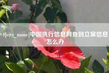 无锡中国执行信息网查到立案信息怎么办