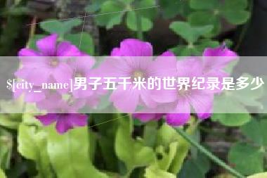 无锡男子五千米的世界纪录是多少