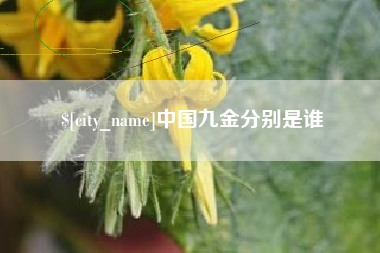 无锡中国九金分别是谁