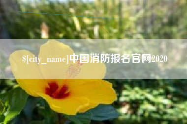 无锡中国消防报名官网2020