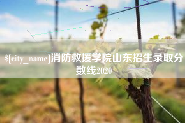 无锡消防救援学院山东招生录取分数线2020