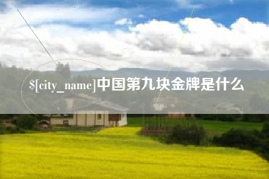 无锡中国第九块金牌是什么