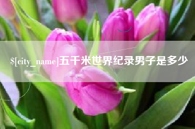 无锡五千米世界纪录男子是多少
