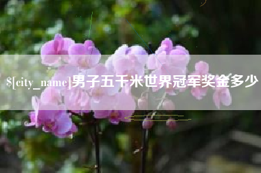 无锡男子五千米世界冠军奖金多少