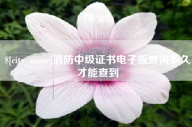无锡消防中级证书电子版查询多久才能查到