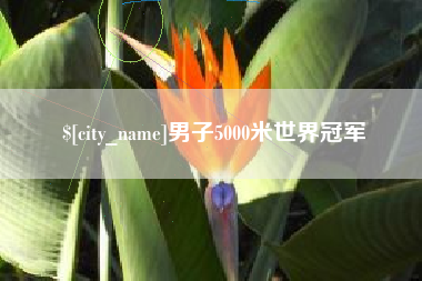 无锡男子5000米世界冠军
