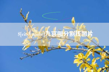 无锡九宫图分割线图片