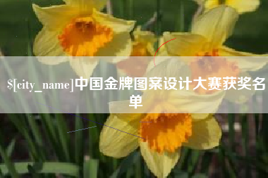 无锡中国金牌图案设计大赛获奖名单