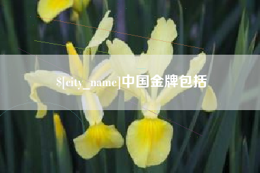无锡中国金牌包括